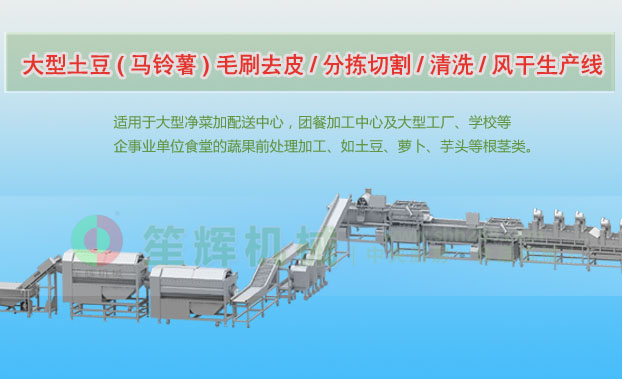 定海连续式土豆去皮清洗切割风干生产线